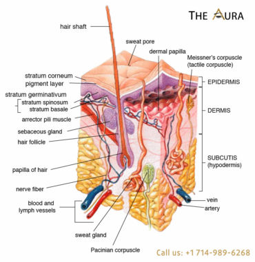 THE AURA BEAUTY ACADEMY The Aura is a beauty company that provides microblading, permanent cosmetic make-up, and provides licensing approved training academy in Westminster - Orange County California.