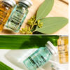 Stayve AC Stem Cell Gold Ampoule
