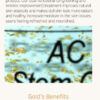 Stayve Ac Stem Cell Gold Ampoule in the USA
