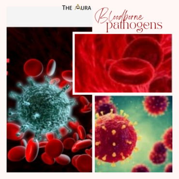 The cheapest Online Bloodborne Pathogens Training in Califrothe USA