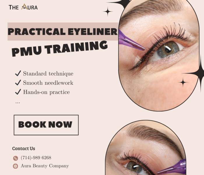 Practical Eyeliner PMU Training – Get a Job Right After Graduation Learn by doing!